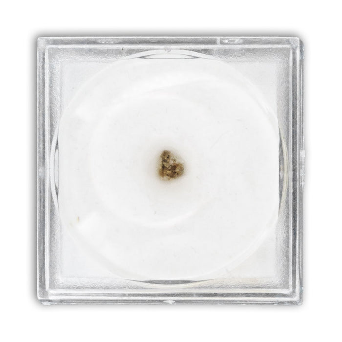 Diamante caja con lupa