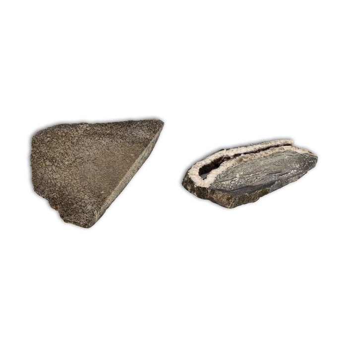 Hueso de Altasaurio Imelakei en rodaja