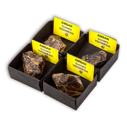 Ámbar Fluorescente en Cajita de Colección 4x4 cm