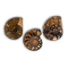 Ammonites Cleoniceras Limonitizado cortado
