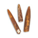Belemnites