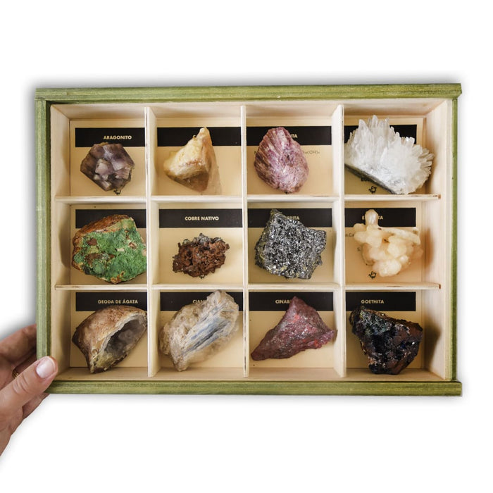 Colección de 12 Minerales Premium Extra