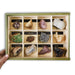 Colección de 12 Minerales Premium Extra