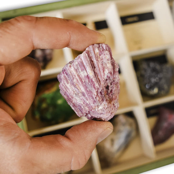 Colección de 12 Minerales rubelita