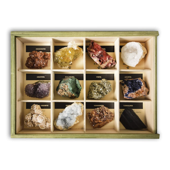 coleccion 12 minerales cristalizados