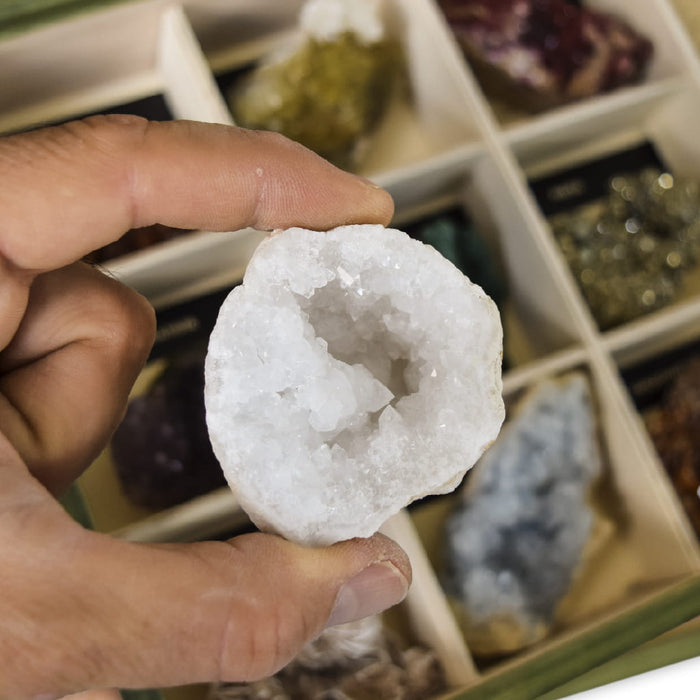 coleccion 12 minerales premium