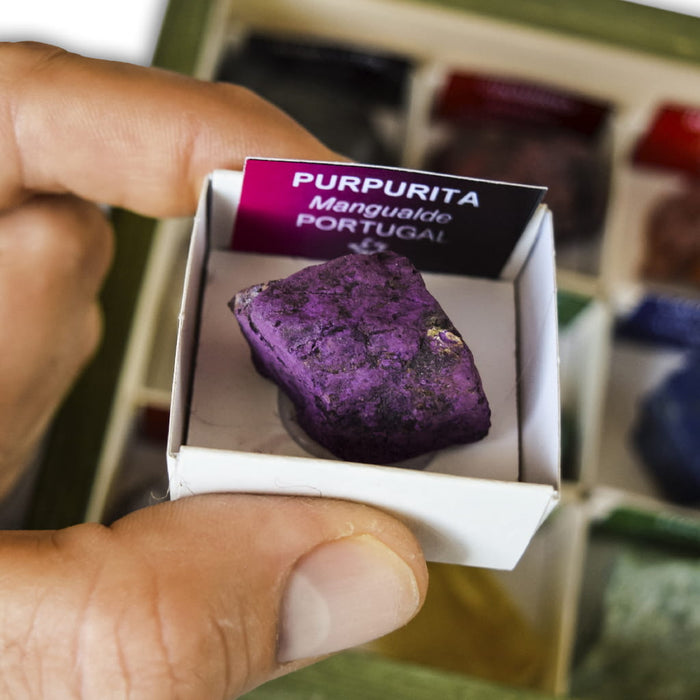 Colección de 15 Minerales de Pigmentos purpurit