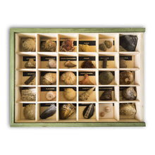 Carregar imagem no visualizador da galeria, Colección de 30 Fósiles didácticos
