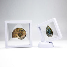Load image into Gallery viewer, Vitrina flotante cuadrada 3D mineral
