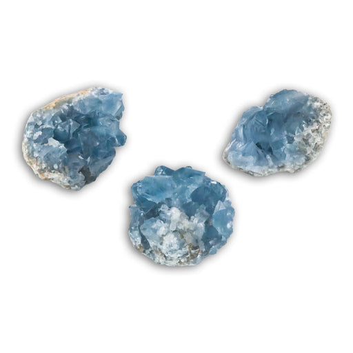 Celestina extra