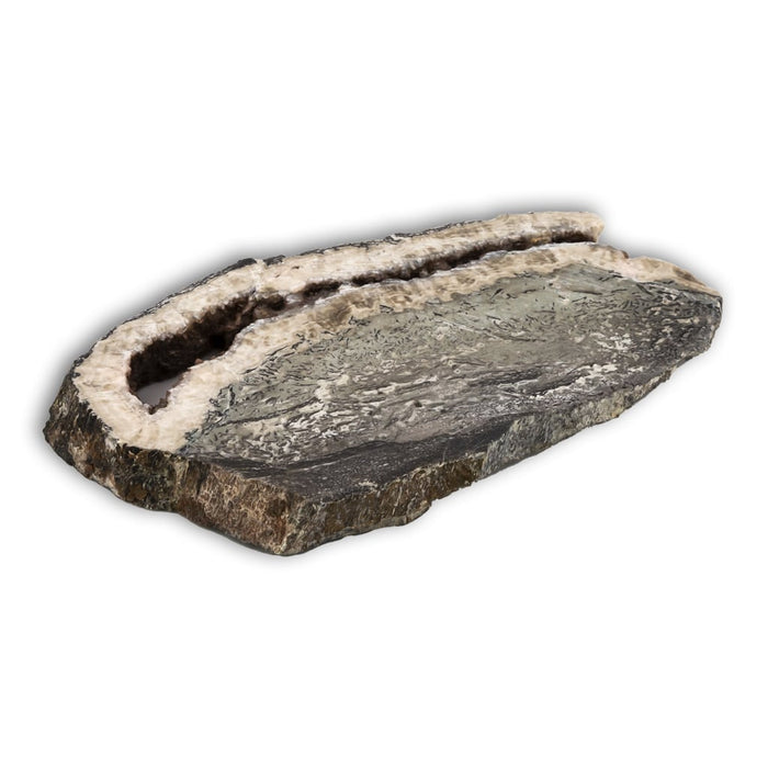 Hueso de Altasaurio Imelakei 