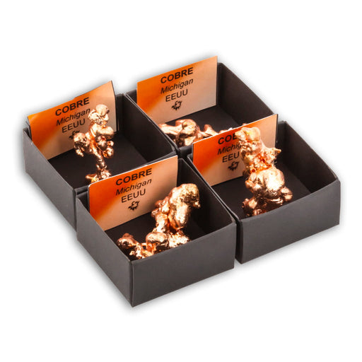 Cobre arborescente en Cajita de Colección 4x4 cm