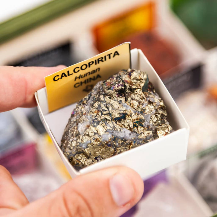 Colección de 15 Minerales Críticos y Estratégicos para Tecnología detalle