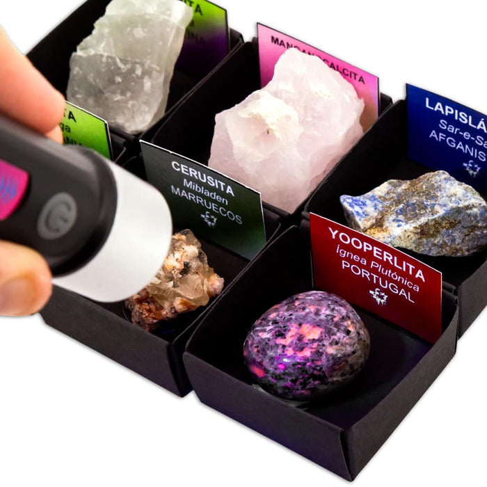 Colección de 6 Minerales Fluorescentes con Linterna UV Linterna