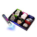 Colección de 6 Minerales Fluorescentes con Linterna UV