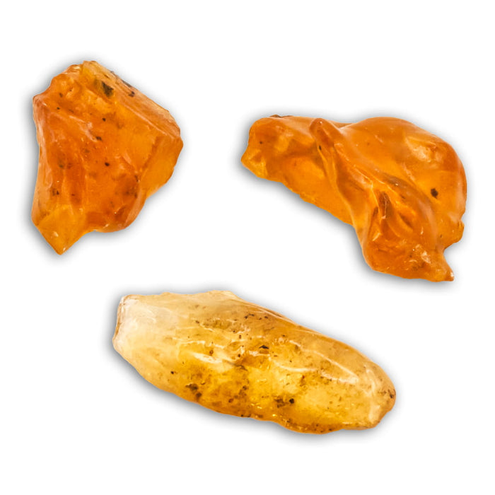 Copal con Insecto y Lupa copal