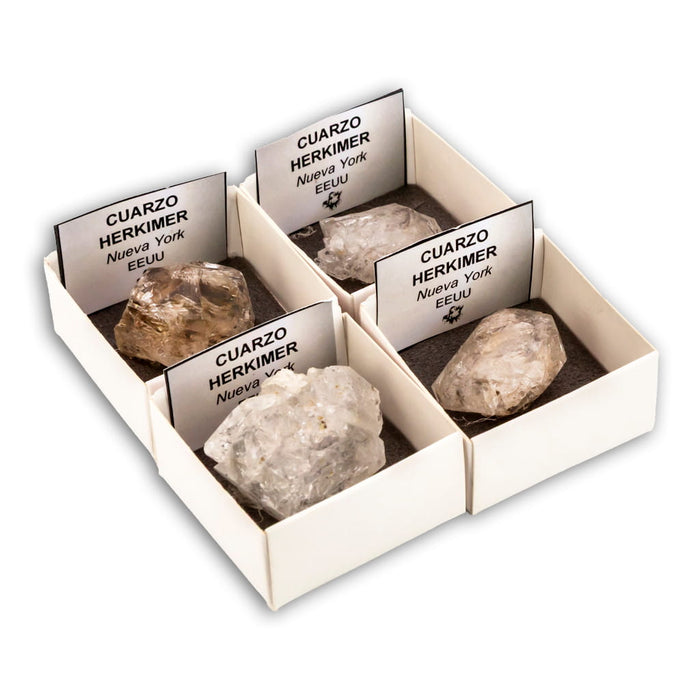 Quartzo de cristal de rocha em caixa de coleção 4x4 cm 