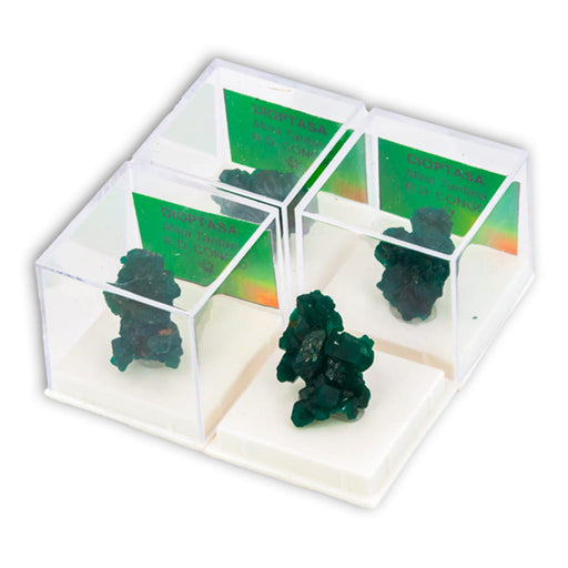 Dioptasa en Vitrina de Colección 4x4 cm
