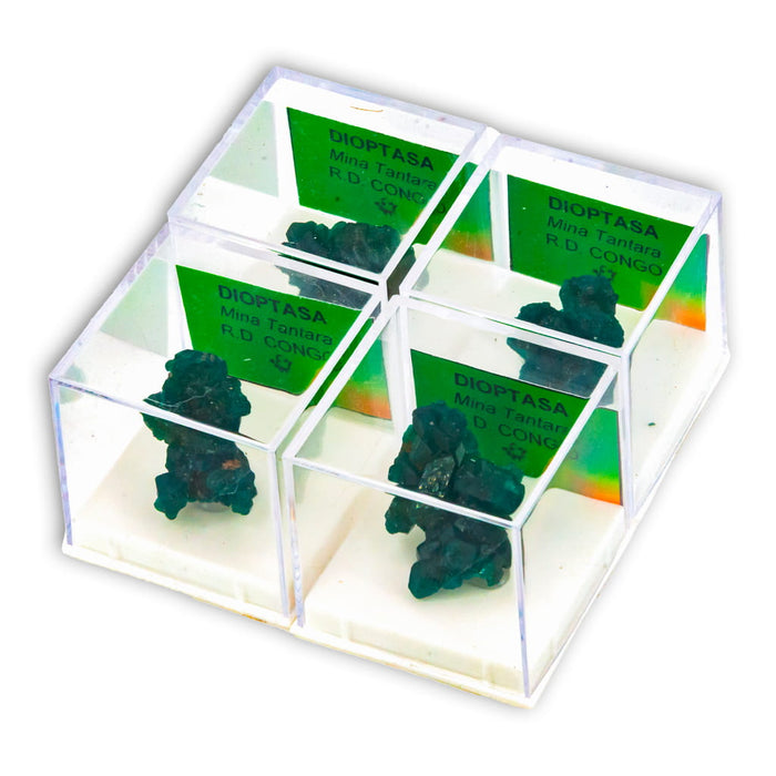 Dioptasa en Vitrina de Colección 4x4 cm vitrina
