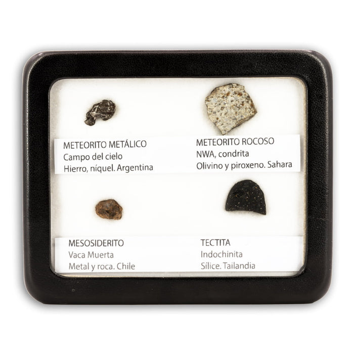 Colección de 4 Meteoritos en vitrina