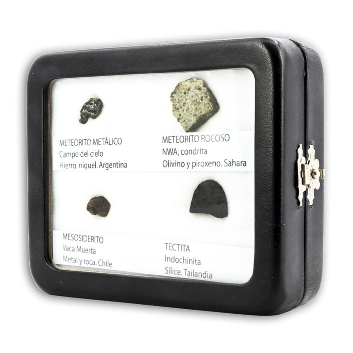 Colección de 4 Meteoritos en vitrina