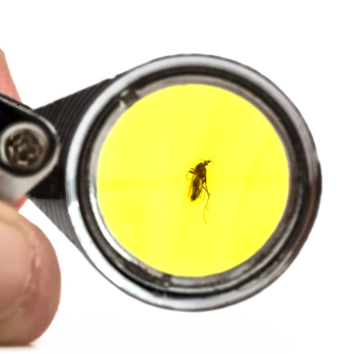 Lupa de joyería plegable mosquito