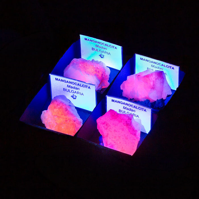 Manganocalcita Fluorescente en Cajita de Colección 4x4 cm fluorescente