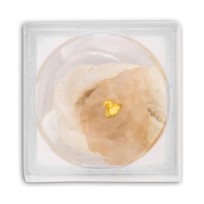 Ouro em caixa de coleção 4x4 cm 