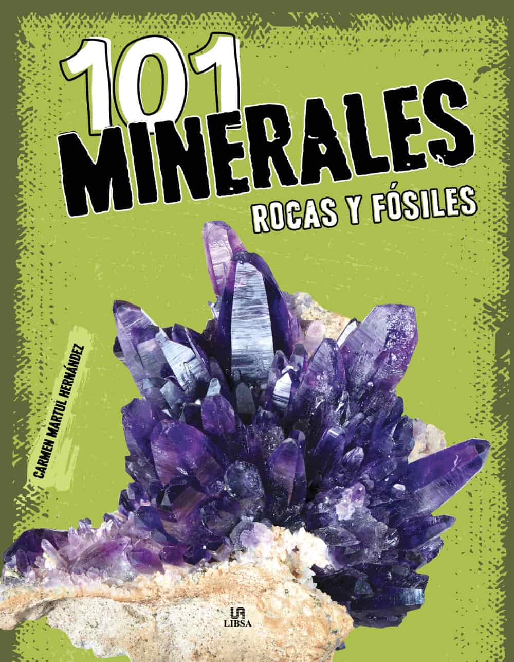 Libro 101 Minerales, Rocas y Fósiles