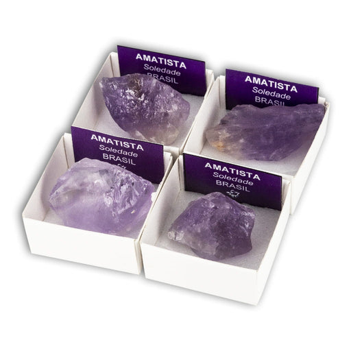 Amatista (Caja de 4x4)
