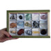Colección Minerales de América 