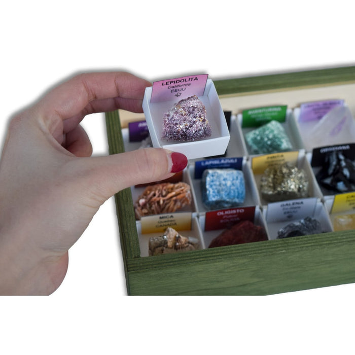 Colección Minerales de América por continentes