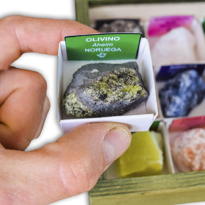 Colección de 15 Minerales del Mundo 4 olivino