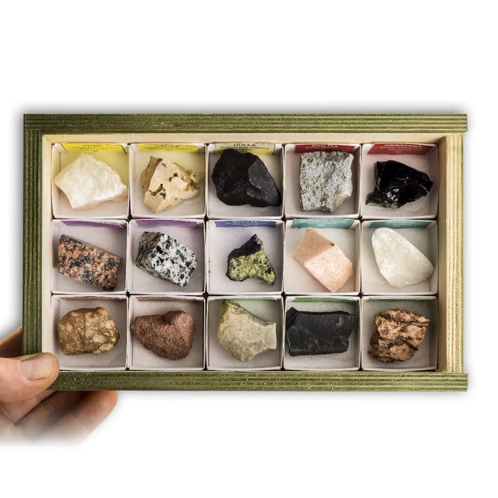 Colección de 15 Rocas del mundo sedimentarias y metamórficas
