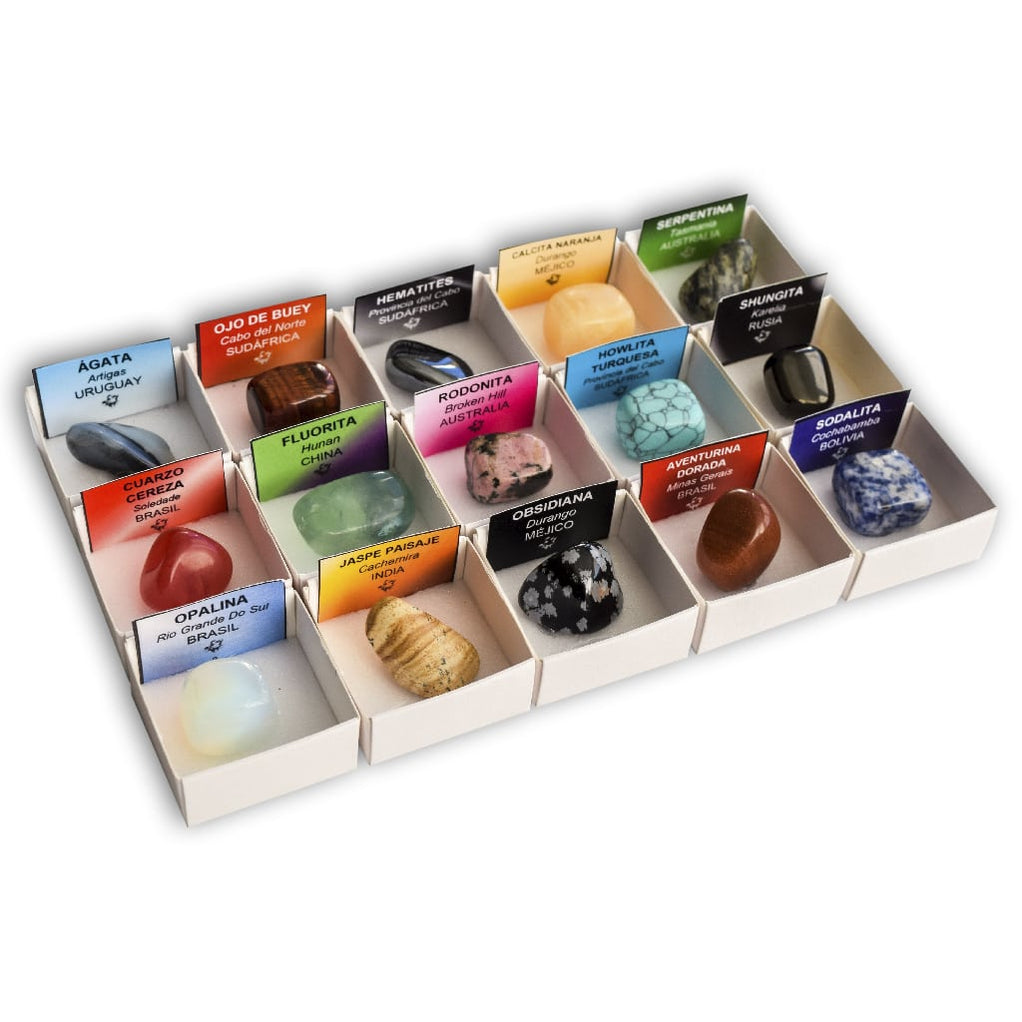 Colección de 15 Rocas didácticas 2 en Caja de Madera Natural - Rocas Reales educativas con Etiqueta informativa a Color. Kit de Ciencia de Geología y Petrología para niños Colección de 15 Rocas didácticas 2 en Caja de Madera Natural - Rocas Reales educativas con Etiqueta informativa a Color. Kit de Ciencia de Geología y Petrología para niños