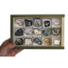 Colección de 15 Rocas del mundo petrologia