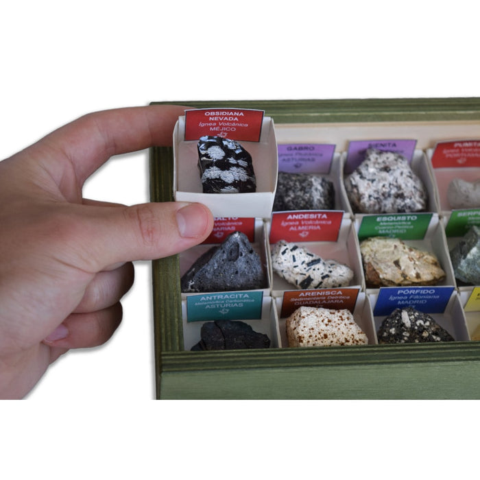 Colección de 15 Rocas educativa