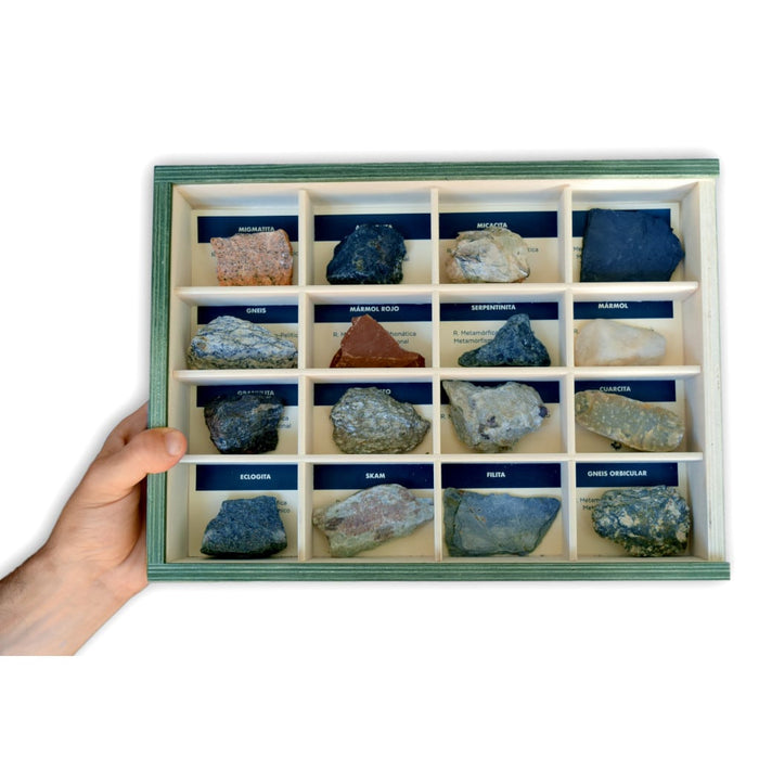 Colección de 16 Rocas Metamórficas Skam filita