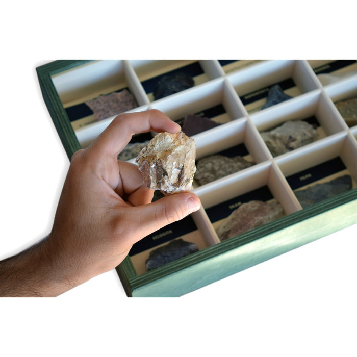 Colección de 16 Rocas Metamórficas Mica