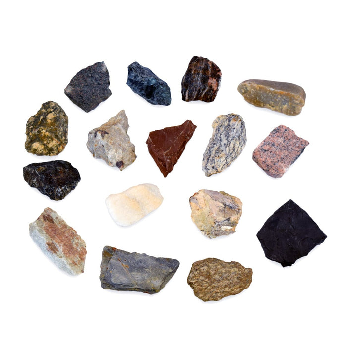 Colección de 16 Rocas Metamórficas Muestras