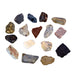 Colección de 16 Rocas Metamórficas Muestras