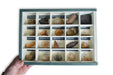Caja fósiles de minerales y fósiles nano