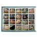 Colección de 20 Rocas didácticas