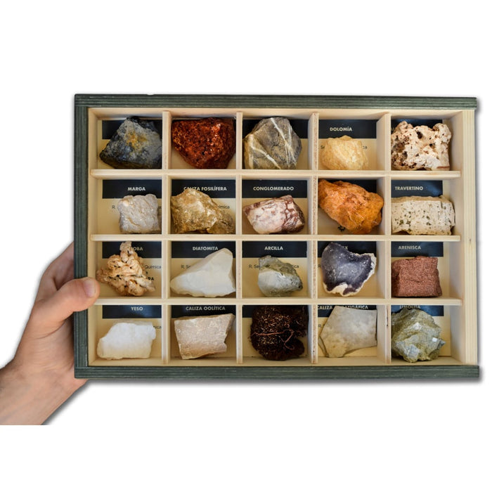 Colección de 20 Rocas Sedimentarias didácticas