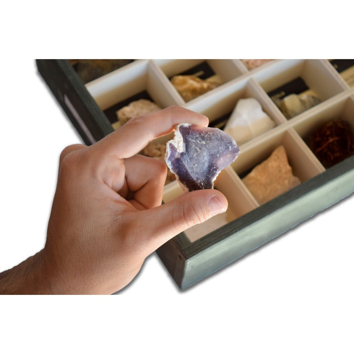 Colección de 20 Rocas Sedimentarias  colegios