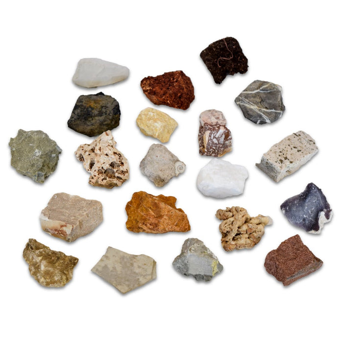 Colección de 20 Rocas Sedimentarias educativas