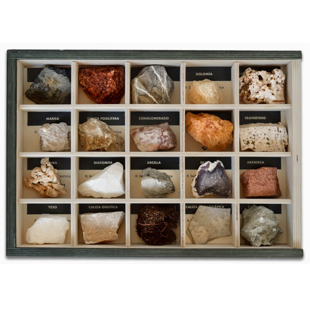 Colección de 20 Rocas Sedimentarias