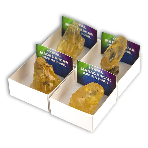 Copal (Caja 4x4)