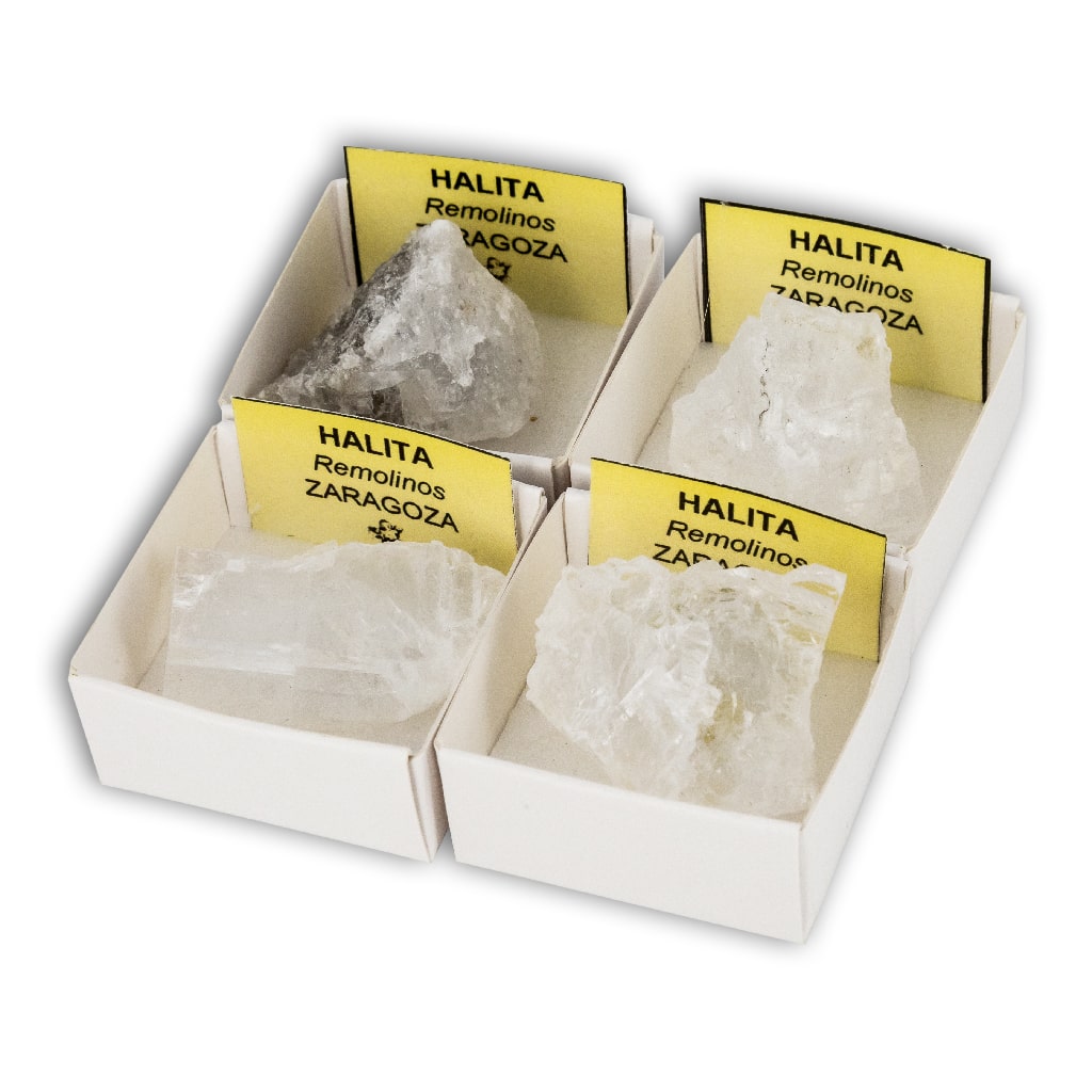 Halite in Collection Box 4x4 cm – Colecciones de Minerales