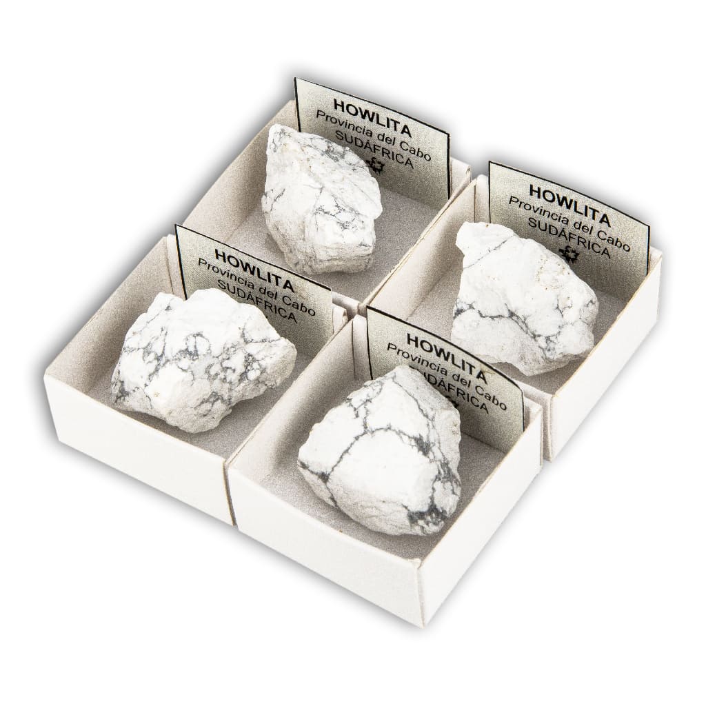 Howlite in Collection Box 4x4 cm — Colecciones de Minerales